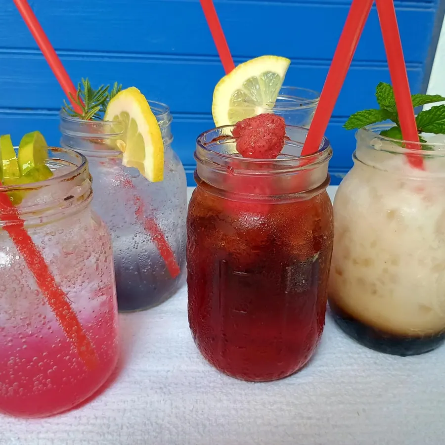 Homemade Lemonades